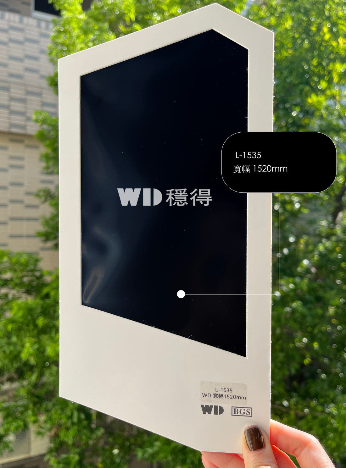 GF-GO-黑膜L-1535.png