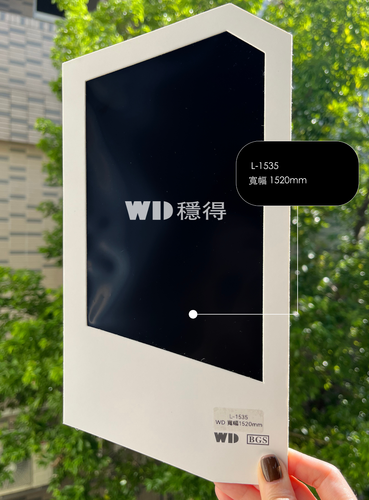 GF-GO-黑膜L-1535.png