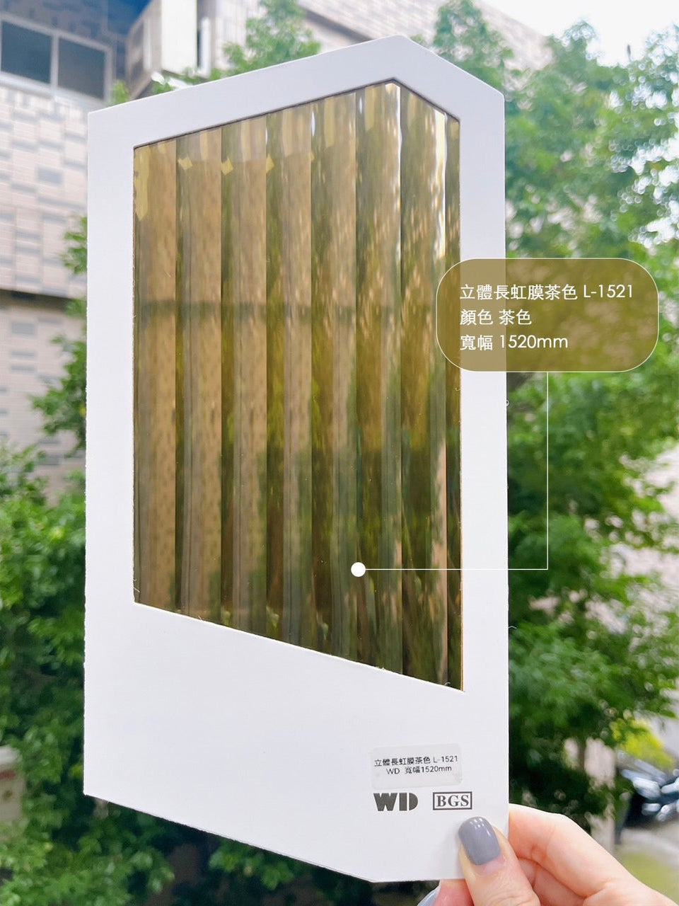 GF-GS-立體長虹膜L-1521.jpg