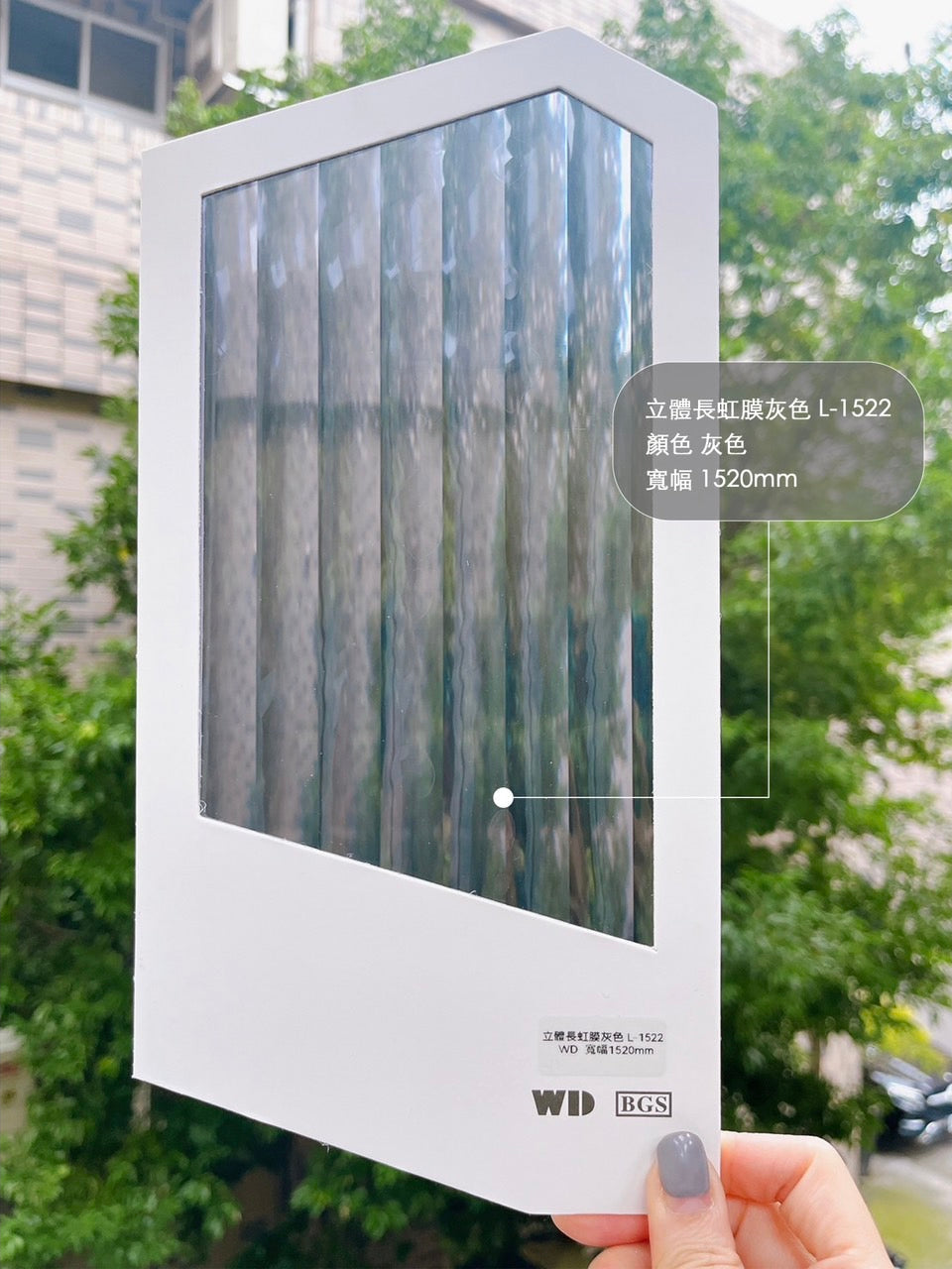 GF-GS-立體長虹膜L-1522.jpg