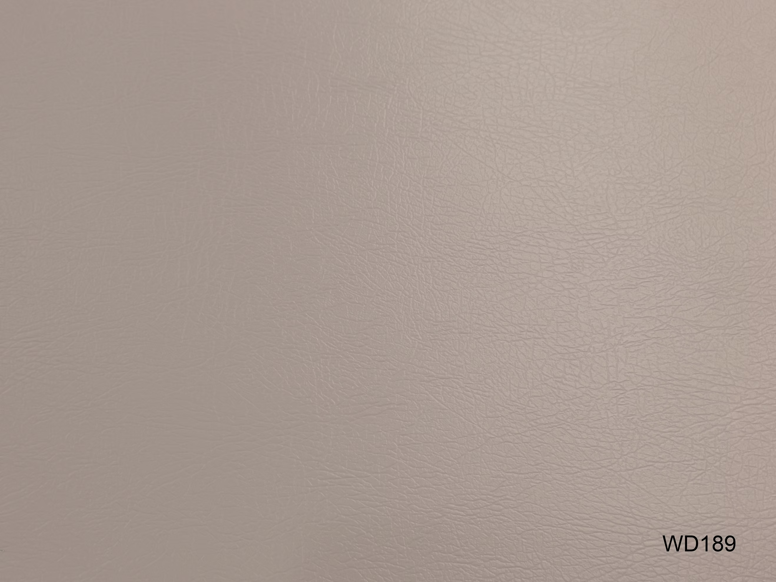 WD189
