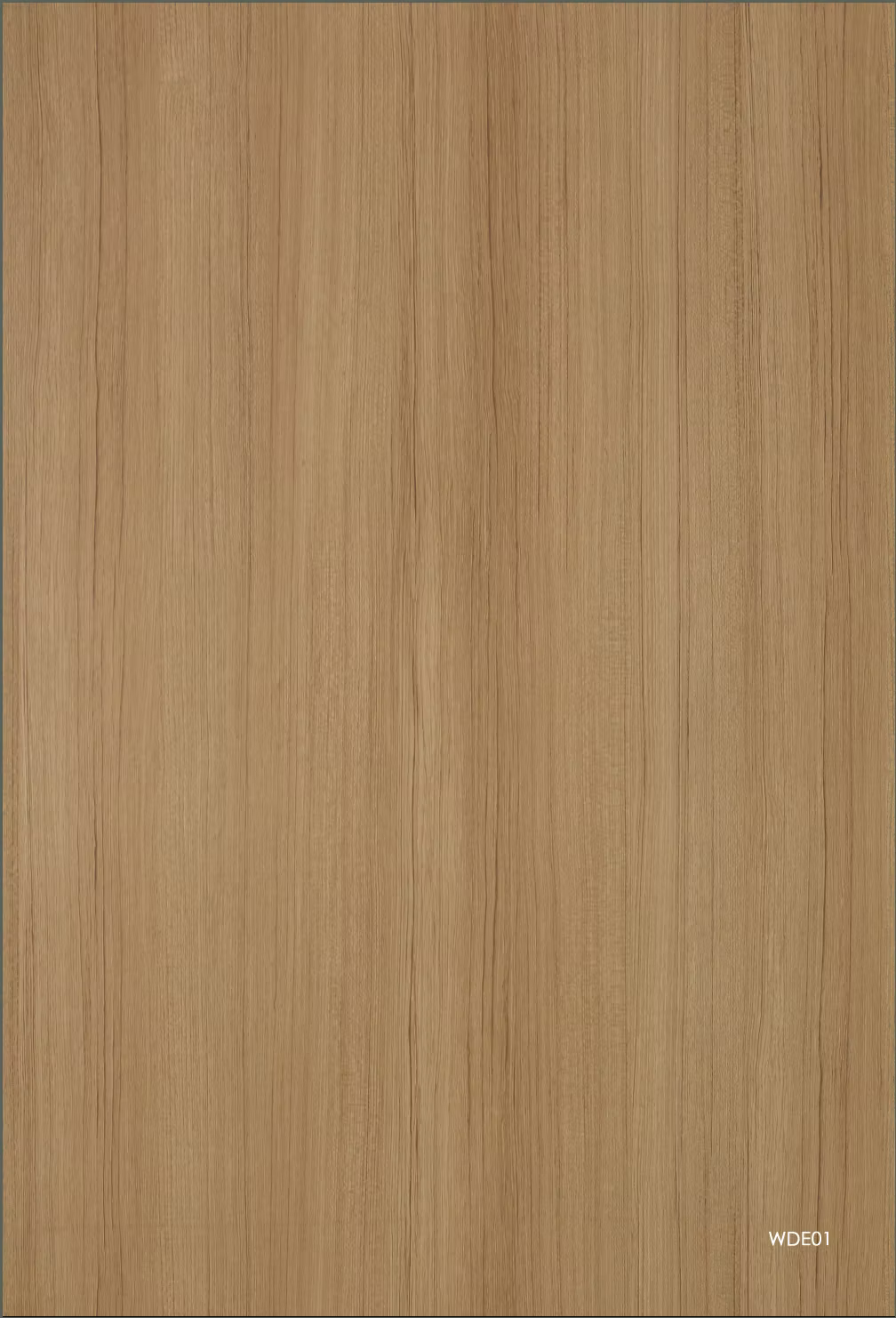 WDE01