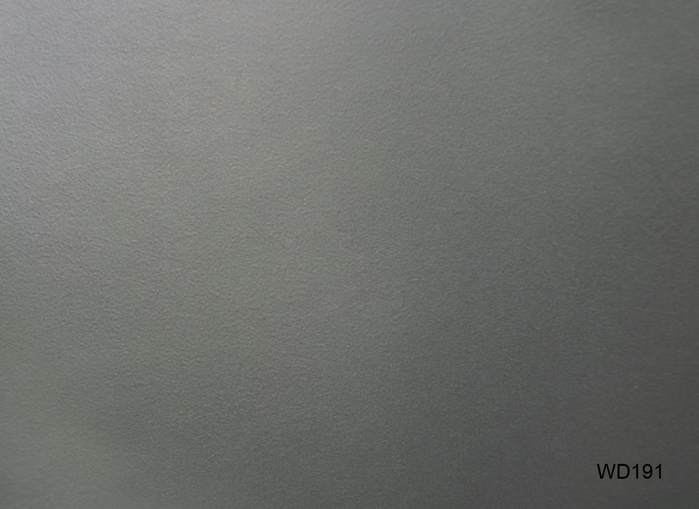 WD191