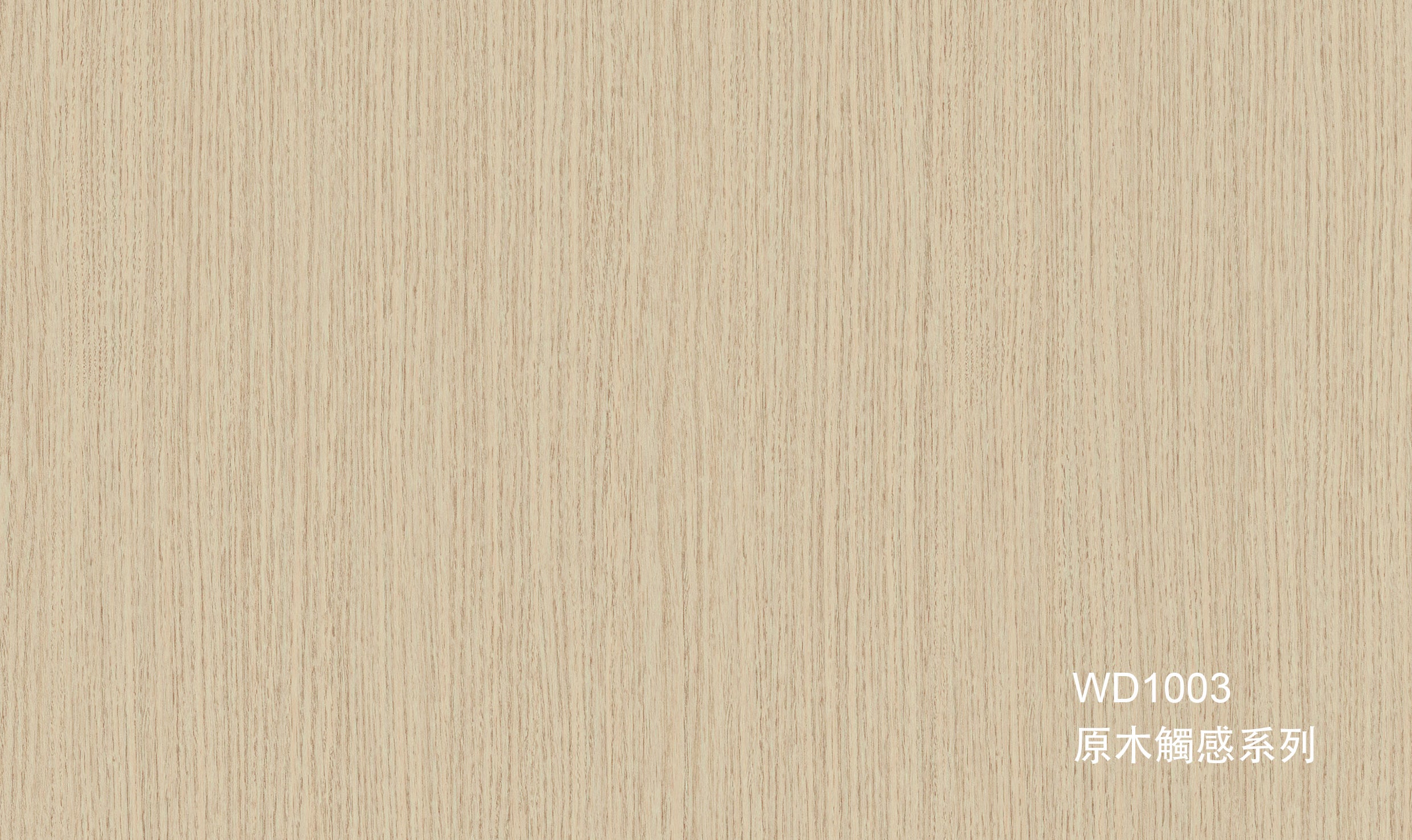 WD1003