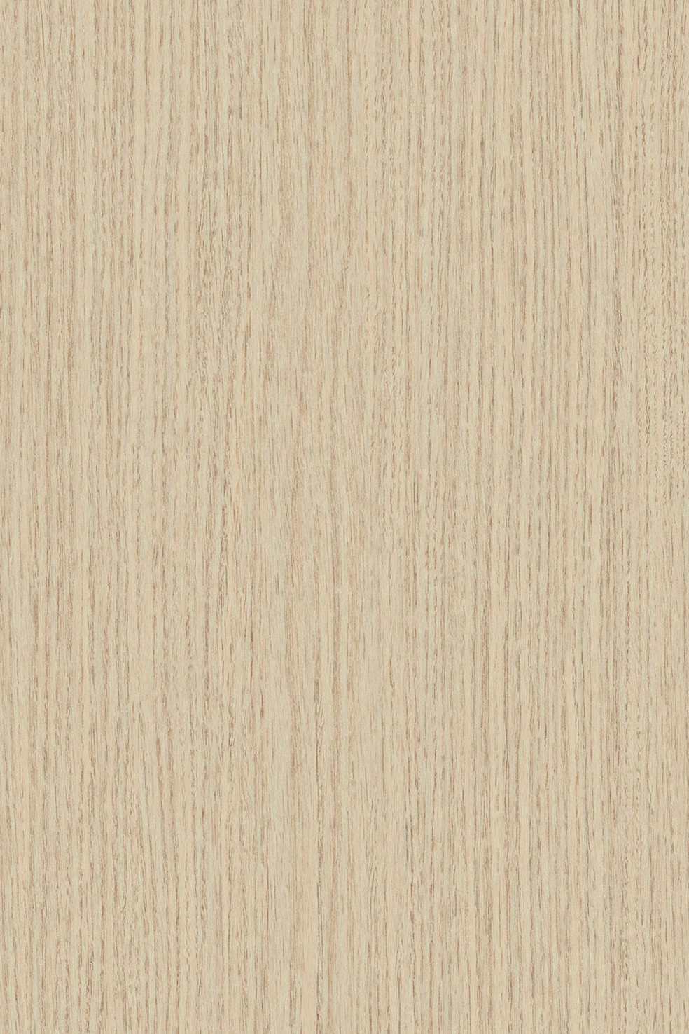 WD1003
