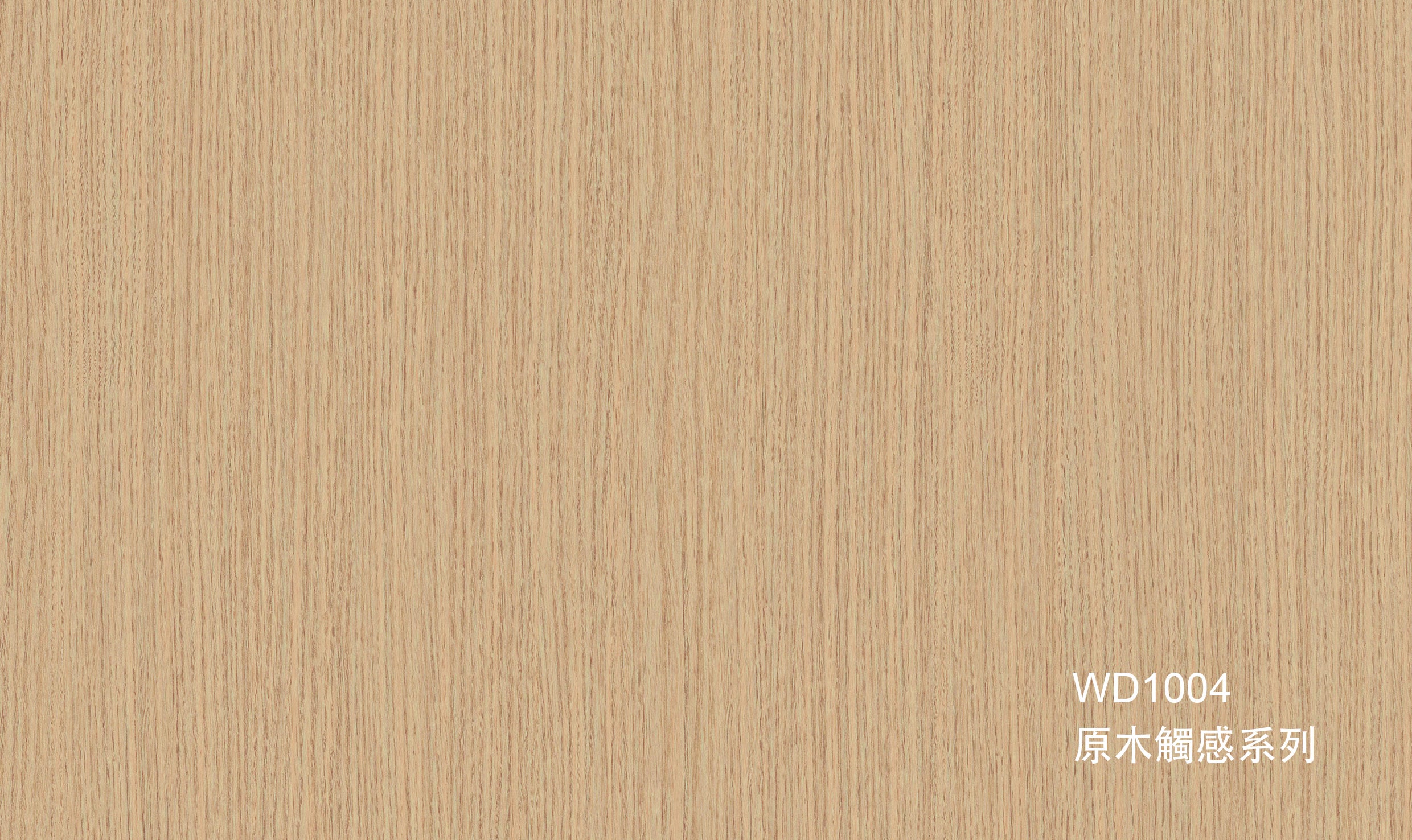 WD1004