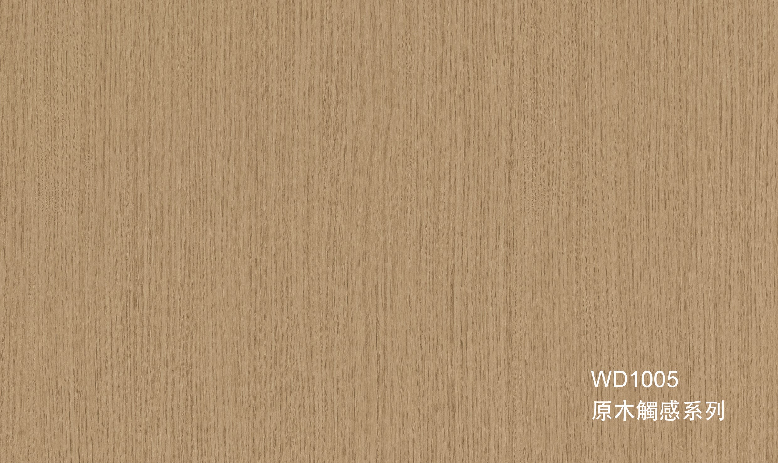 WD1005