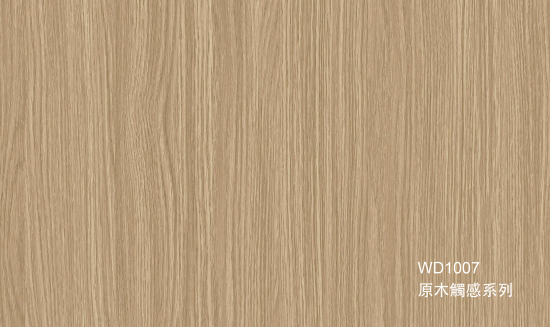 WD1007