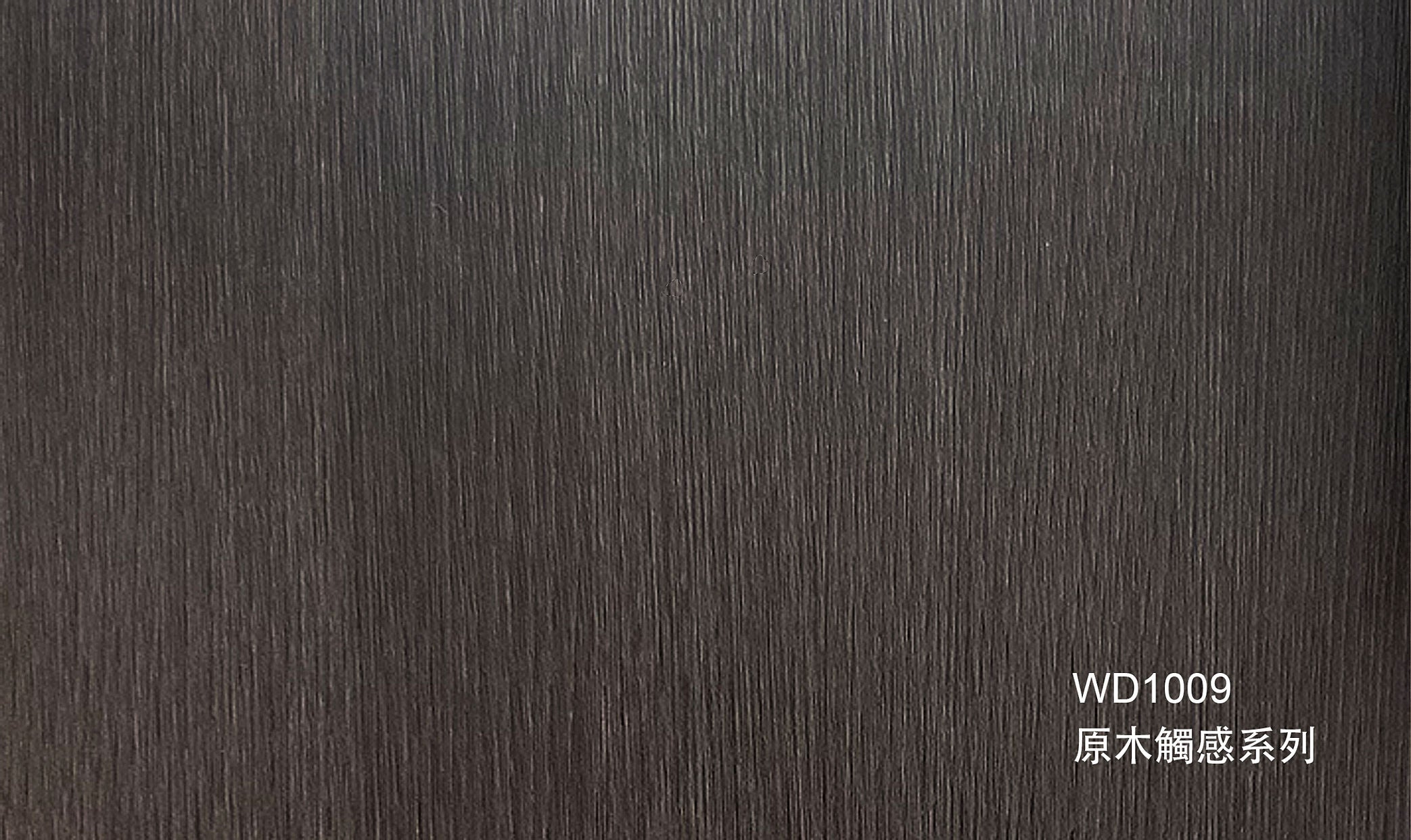WD1009