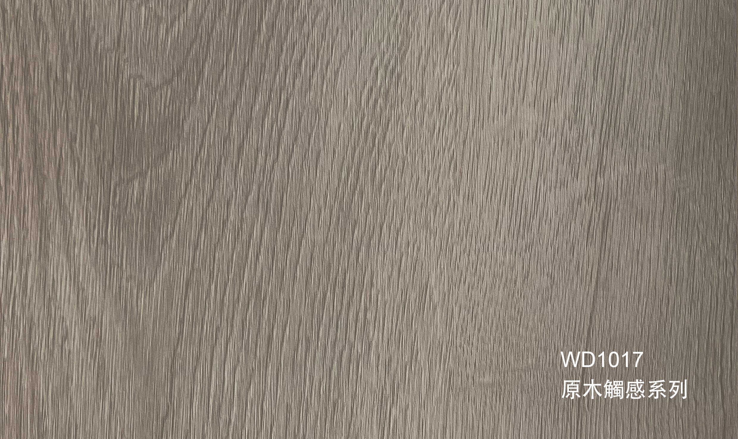WD1017