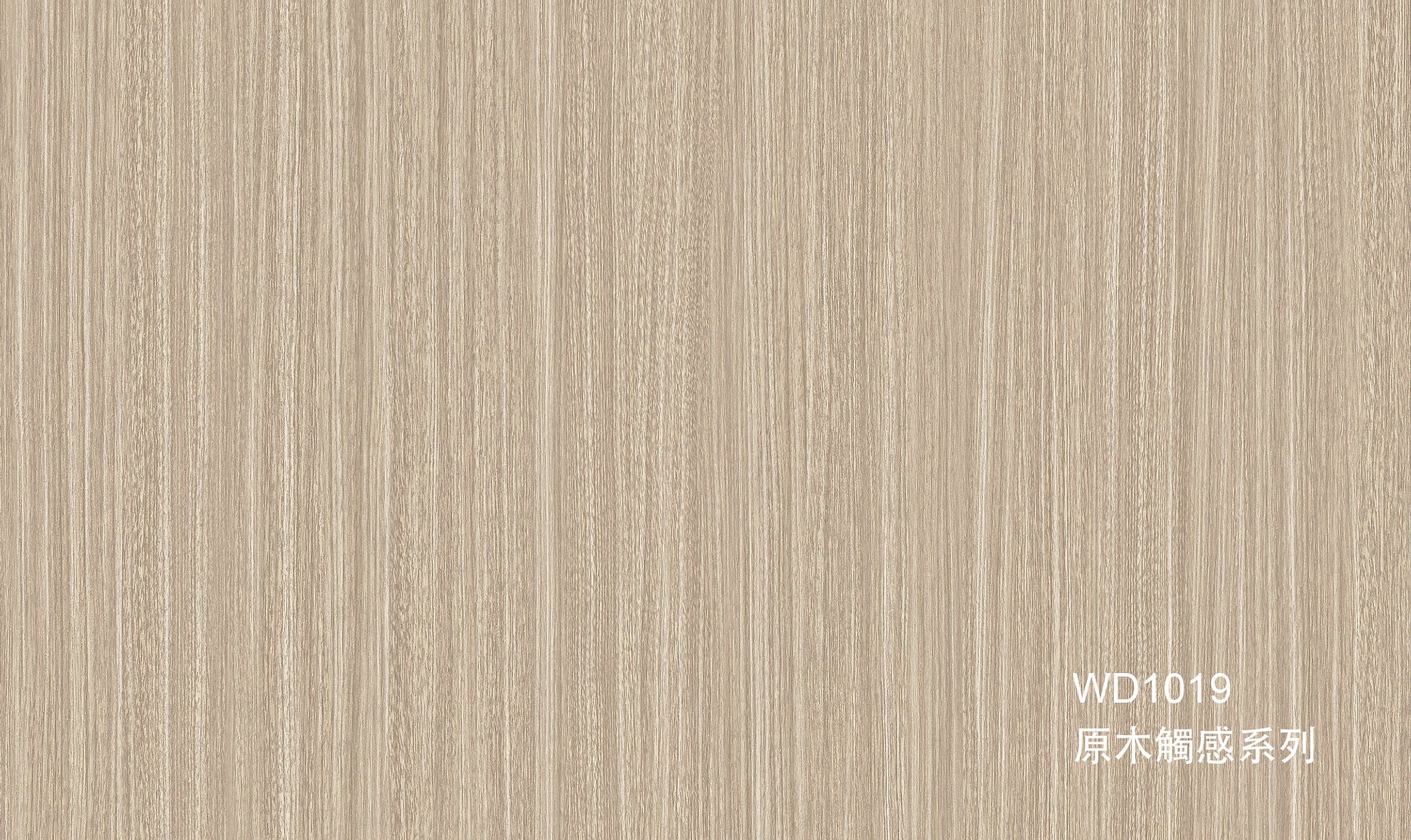 WD1019