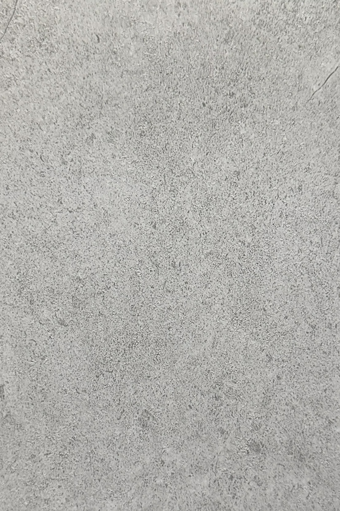 WD200